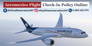 Aeromexico Check-In Policy Online 